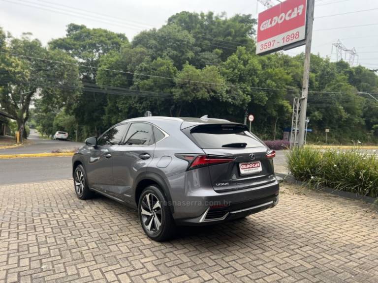 LEXUS - NX300 H - 2021/2021 - Cinza - R$ 199.000,00
