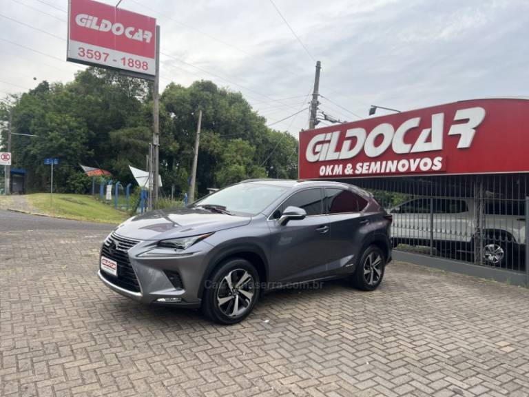 LEXUS - NX300 H - 2021/2021 - Cinza - R$ 199.000,00